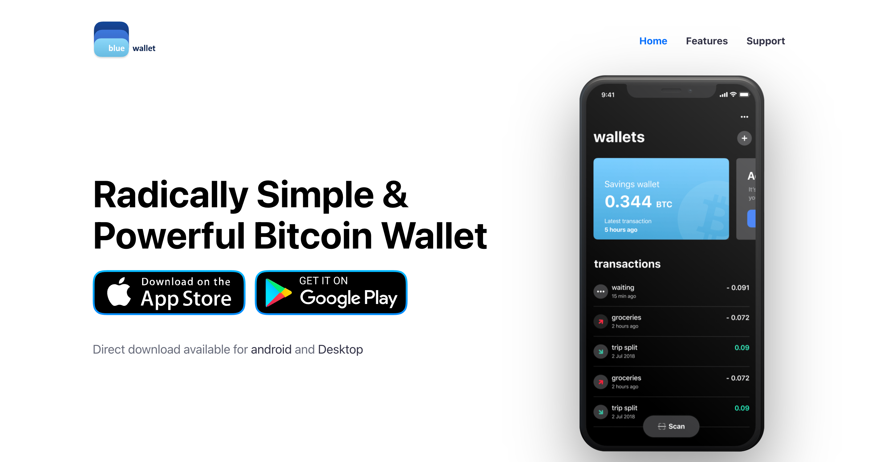 Screenshot of Blue Wallet website