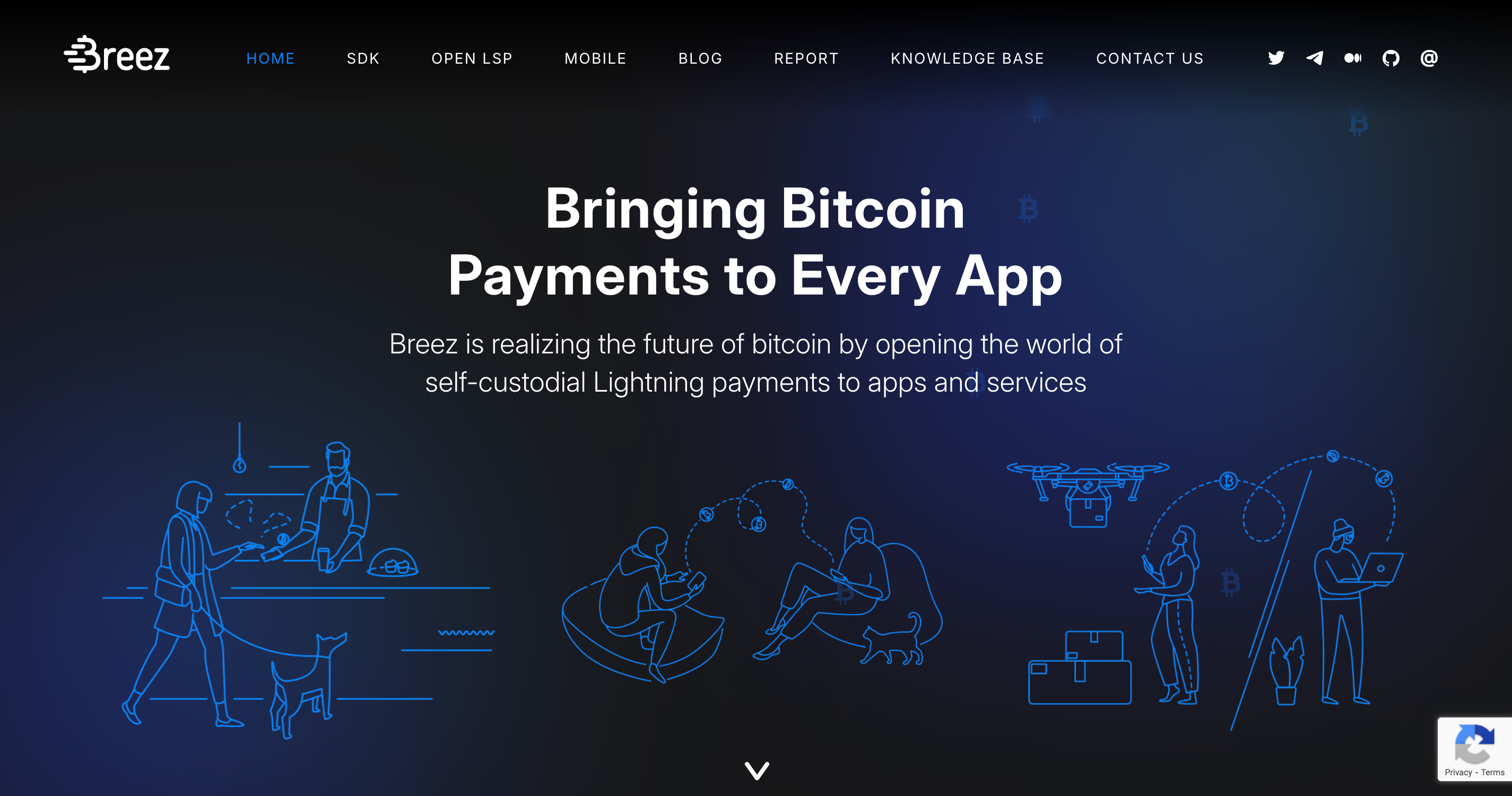 Screenshot of Breez website