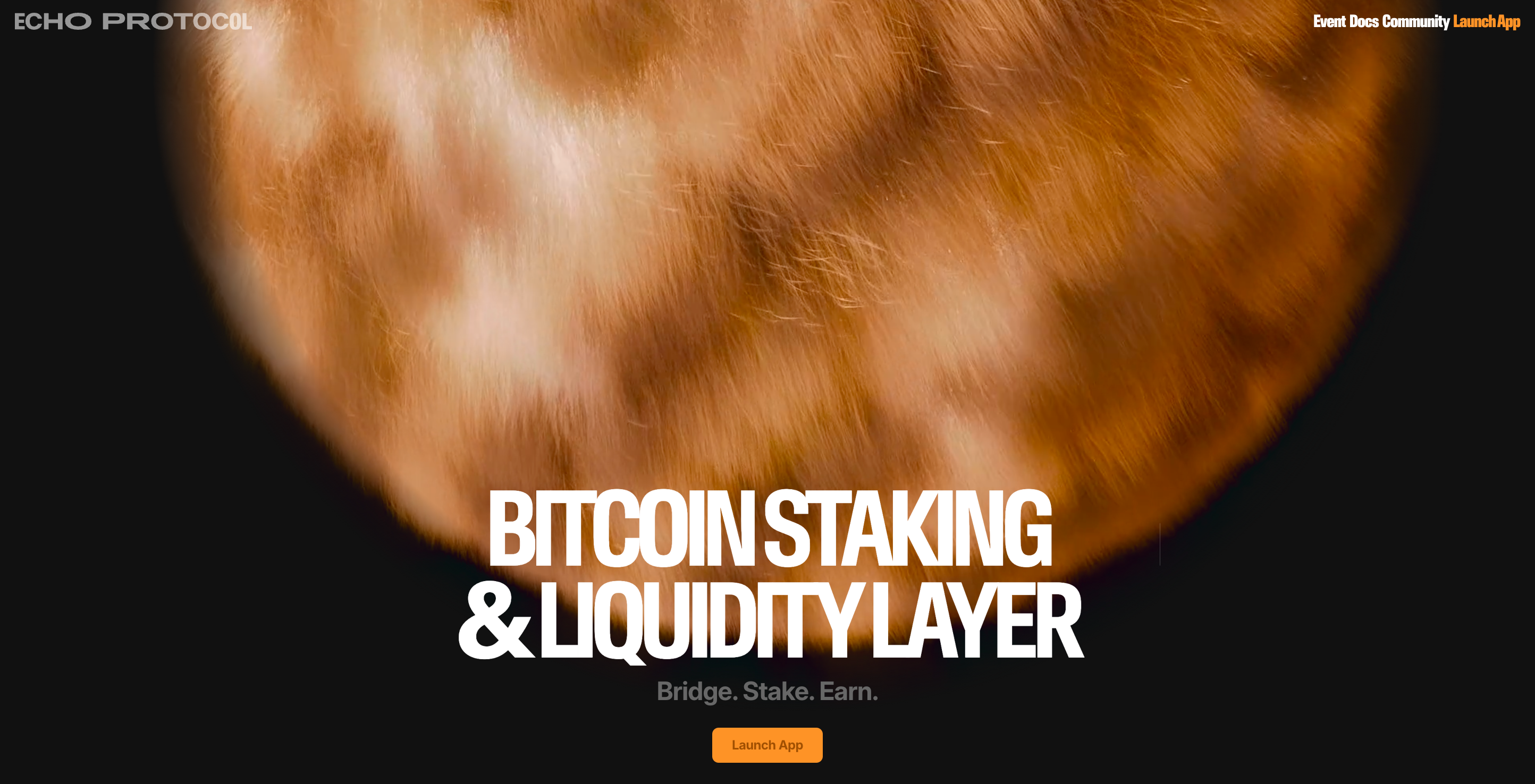 Screenshot of Echo Protocol website
