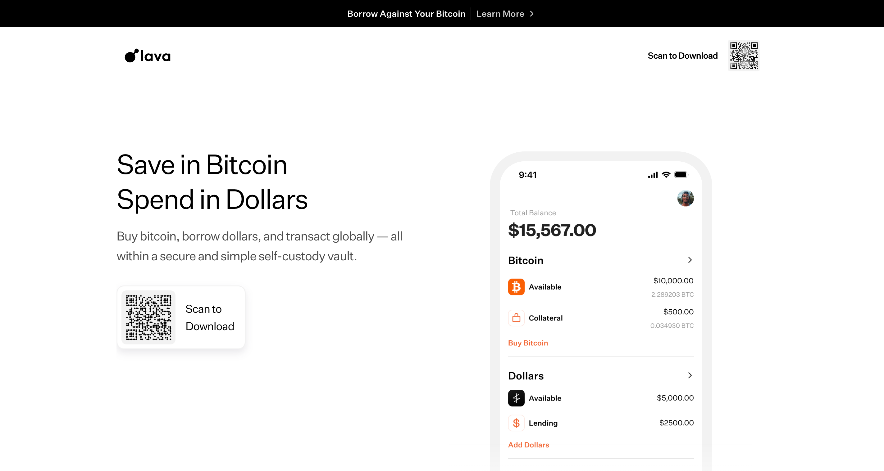 Screenshot of Lava website