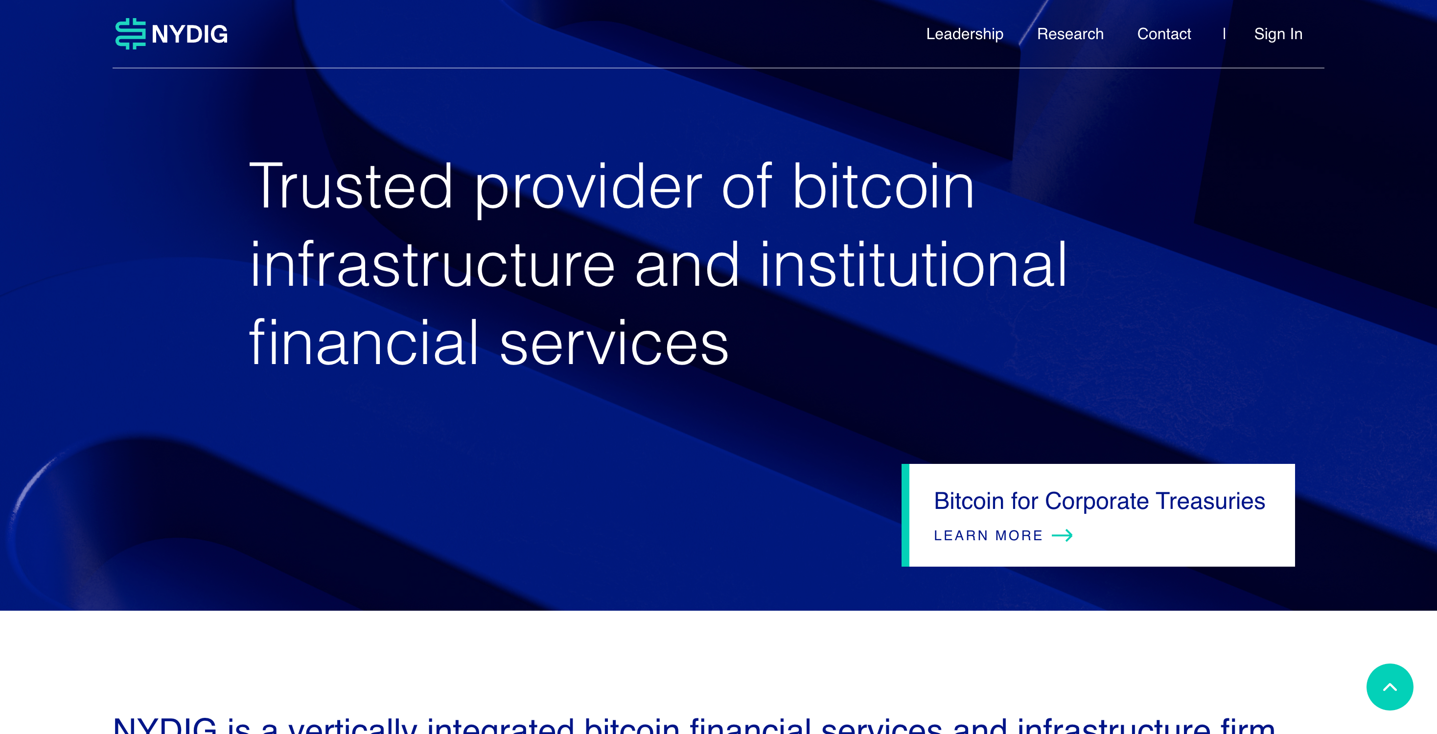 Screenshot of NYDIG website