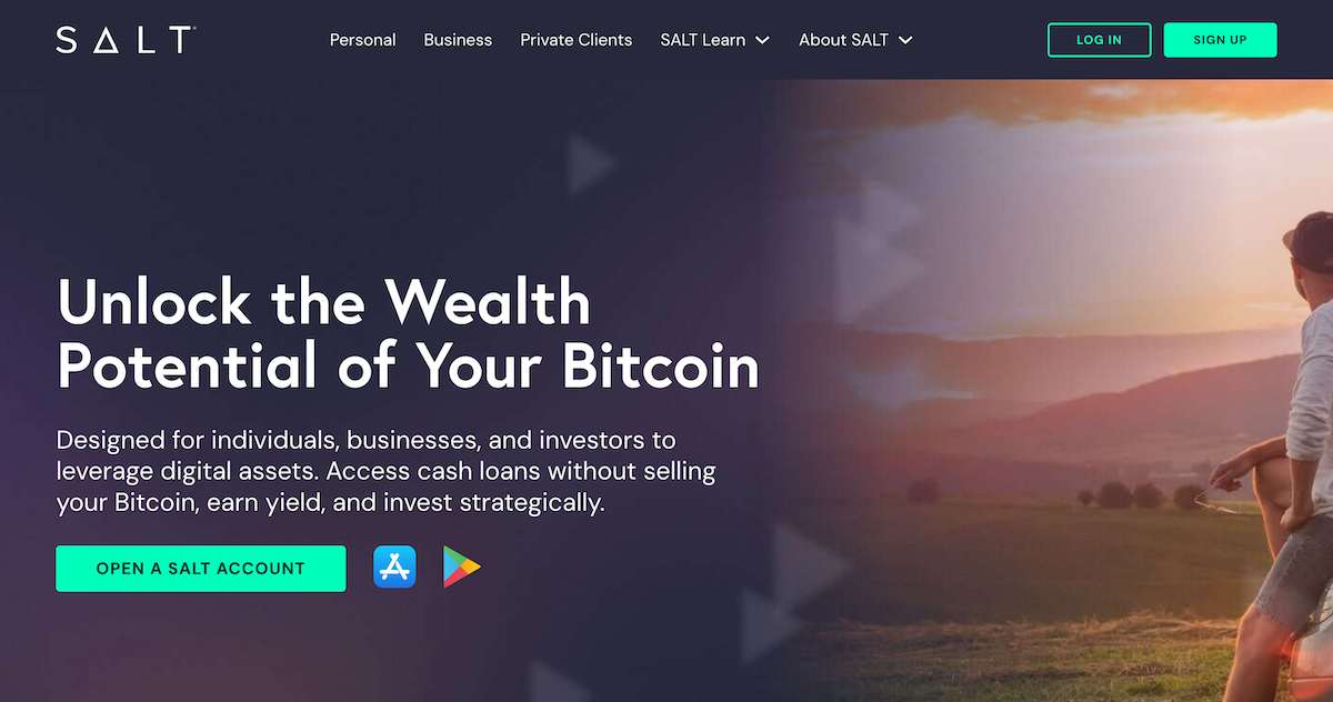 Screenshot of SALT Lending website