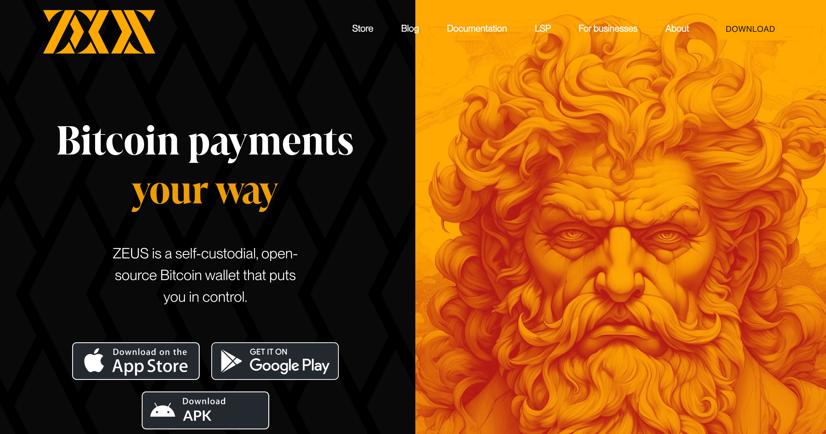 Screenshot of ZEUS website