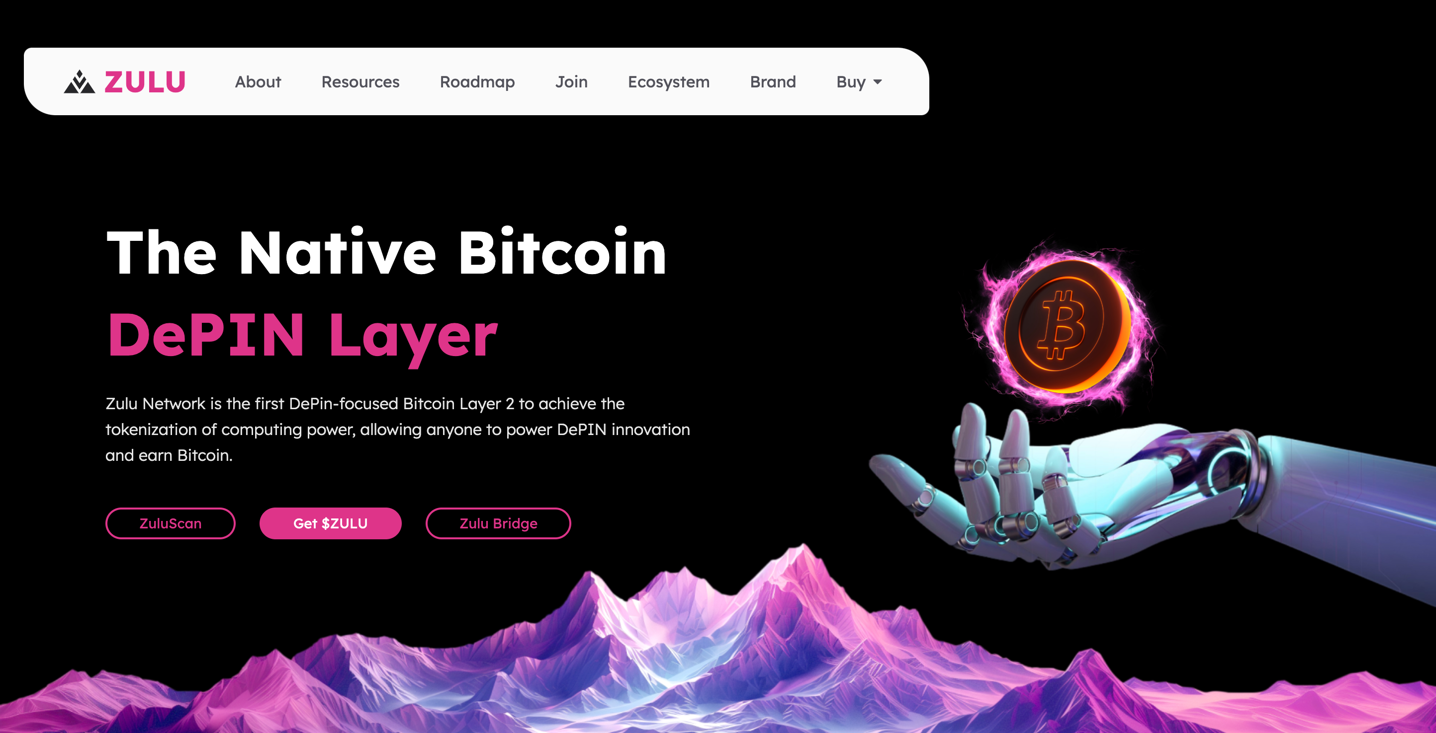 Screenshot of Zulu Network website