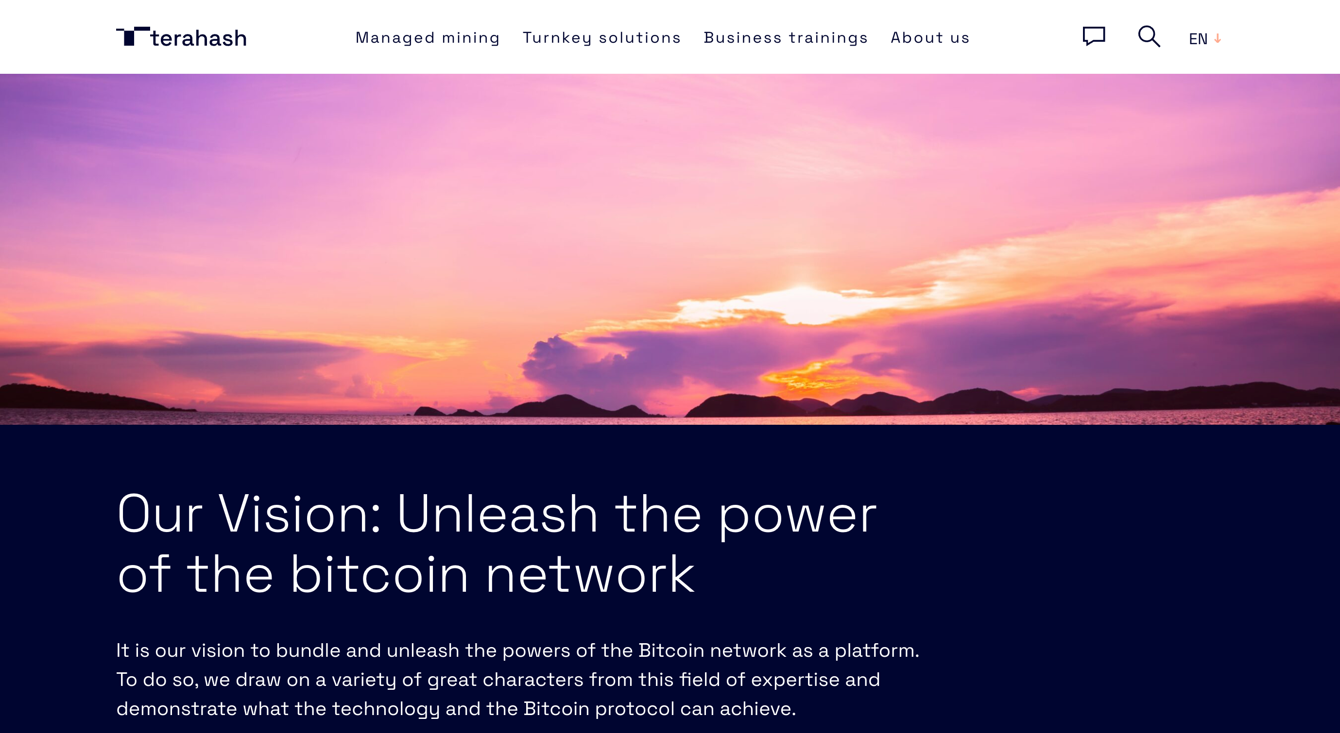 Screenshot of Terahash website